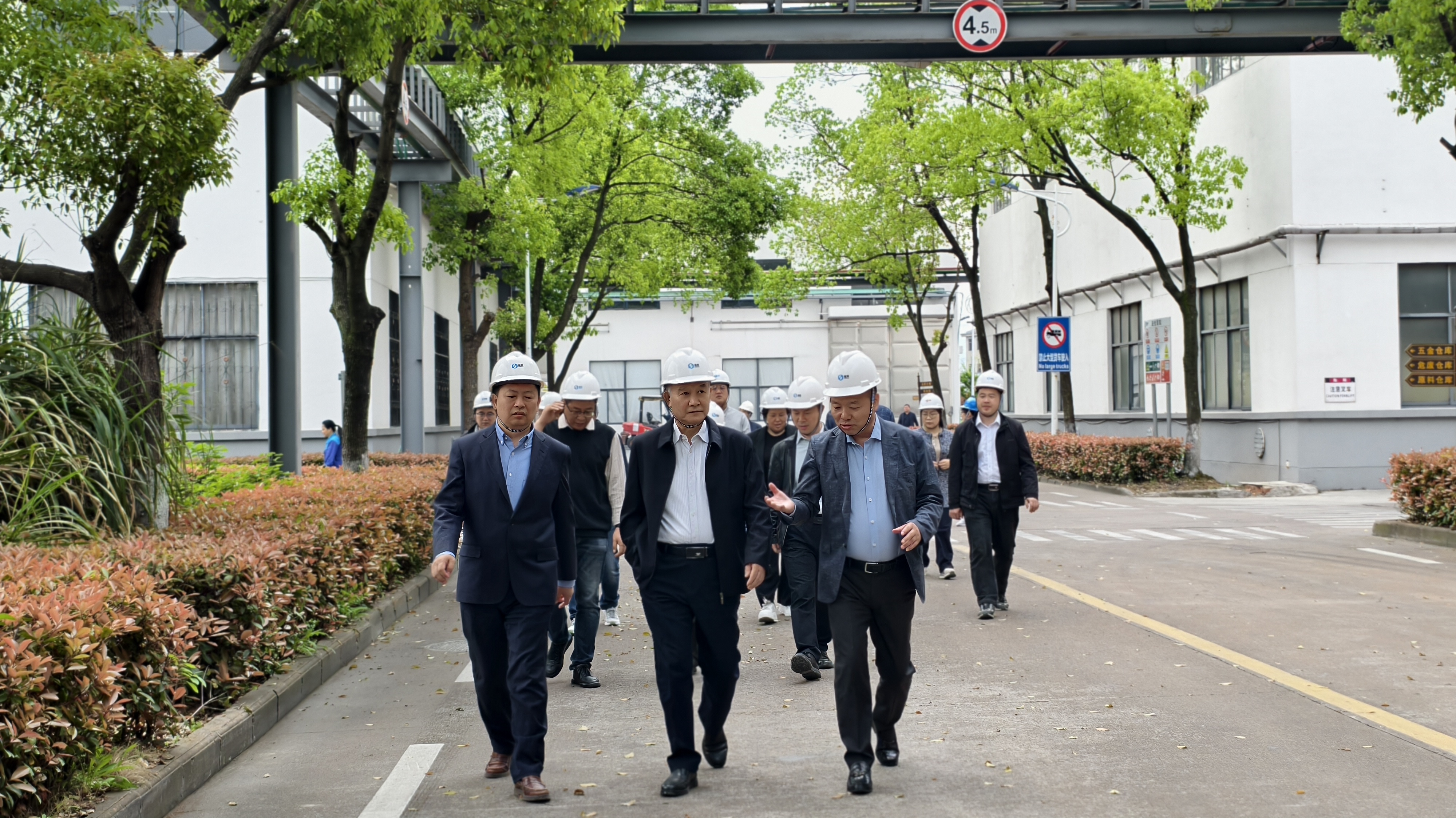 段雪院士一行到圣效集團走訪交流